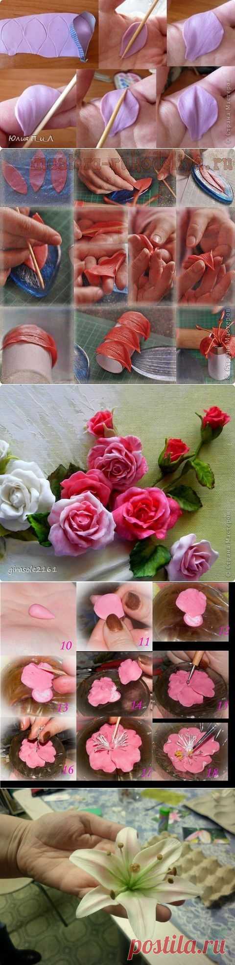 (39) Одноклассники