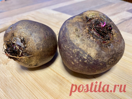Впервые встретил новый оригинальный рецепт закуски из свеклы (в разы вкуснее отварной, делюсь) | Сам поешь и жену удиви | Яндекс Дзен