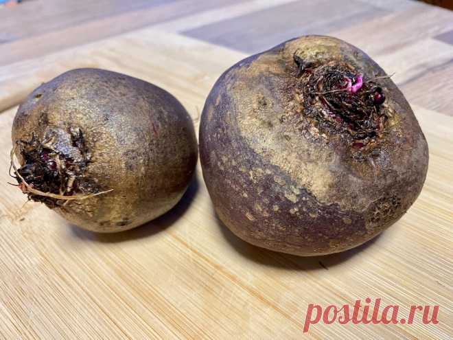Впервые встретил новый оригинальный рецепт закуски из свеклы (в разы вкуснее отварной, делюсь) | Сам поешь и жену удиви | Яндекс Дзен