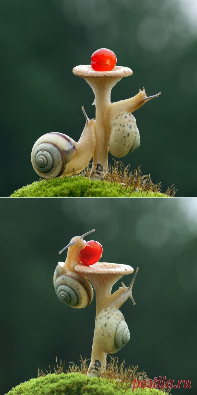 35PHOTO - Anatolih - Кто успел, тот и съел