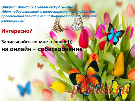 Во время испытательного срока вы учитесь и работаете. Т.е если вы будете выполнять маркетинг план-то да, оплатится. Потому, что ЗП начисляется от созданного товарооборота. Методы, как создать товарооборот-мы рассказываем на обучении. Доход:
1-2 месяц стажировка- доходы до 100$
3-6 месяц от 200$
6-12 месяц от 500$
12-18 месяц от 1000$.
Что из себя представляет испытательный срок- У вас есть 2 месяца, чтобы поучиться, поработать, посмотреть как и сколько здесь зарабатывают и заработают.