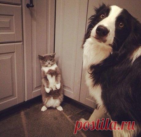 Игорь: Я оптимист!Даже когда фортуно поворачивается ко мне задом,Я говорю:&quot;Какая попка!!!&quot;