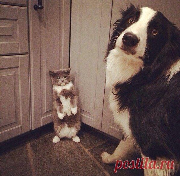 Игорь: Я оптимист!Даже когда фортуно поворачивается ко мне задом,Я говорю:"Какая попка!!!"