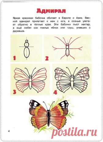 Простые уроки рисования: бабочки и их друзья — Сделай сам, идеи для творчества - DIY Ideas
