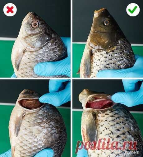 10 способов отличить качественную еду от вредной для здоровья