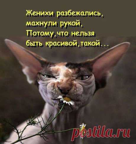 Без заголовка