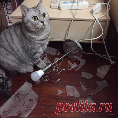 Когда осознал, что твоей жопке сейчас будет бо-бо