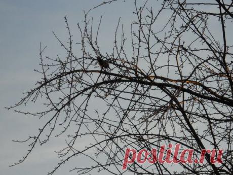 Василий Тимошин vasiliy-timoshin - Москва, Россия, 61 год на Мой Мир@Mail.ru