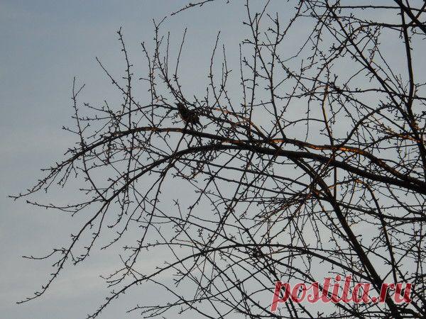 Василий Тимошин vasiliy-timoshin - Москва, Россия, 61 год на Мой Мир@Mail.ru