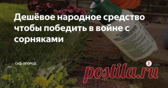 Дешёвое народное средство чтобы победить в войне с сорняками Вам останется лишь заправить пульверизатор и опрыскать сорняки...