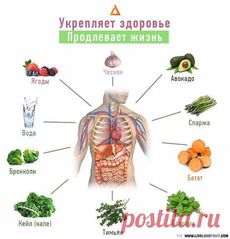 Продукты,продлевающие жизнь.
