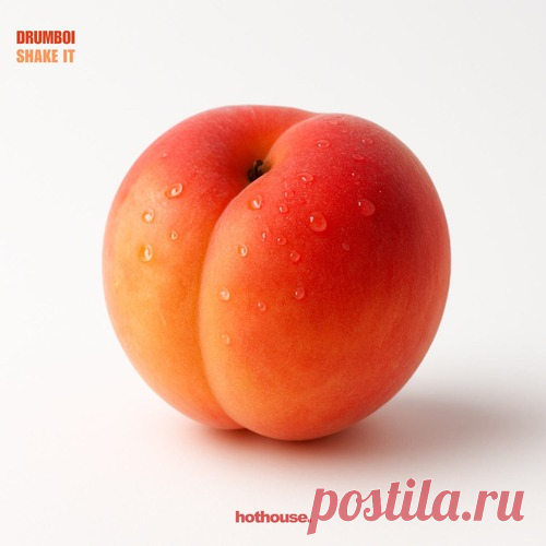 Drumboi - Shake It (Extended Mix) free download mp3 music 320kbps