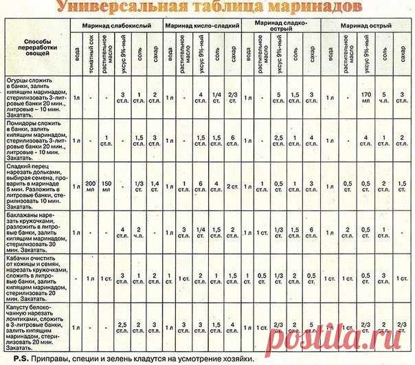 Светлана Лисаченко