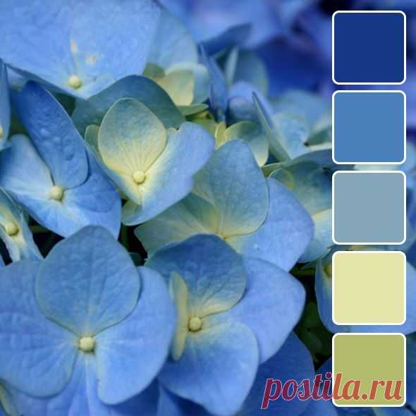 Весенние палитры