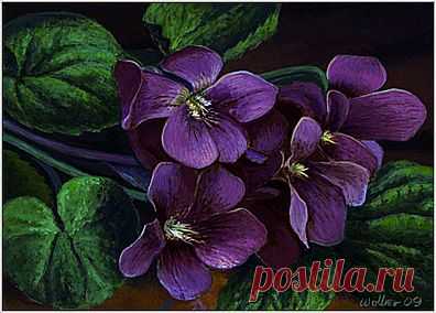 Purple Violets: Spring Wildflowers, original painting by artist Paul Wolber | DailyPainters.com