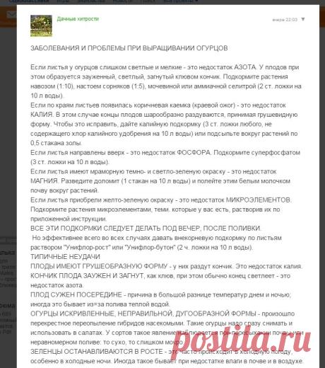 заболевания и проблемы при выращивании огурцов