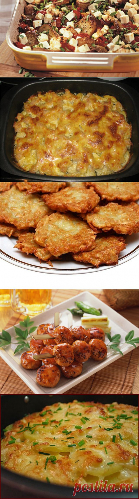 Такой разный картофель.