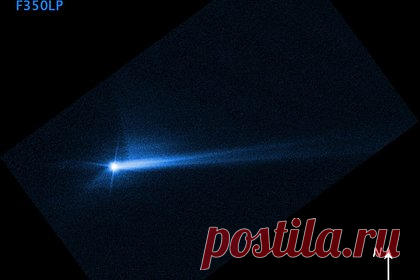 Человечество впервые успешно отклонило астероид. Специалисты НАСА подтвердили, что столкновение космического корабля с астероидом Диморфом успешно отклонили небесное тело от изначальной орбиты. Это первый случай, когда человечество намеренно изменило движение космического объекта, что доказывает работоспособность потенциальной системы защиты Земли.
