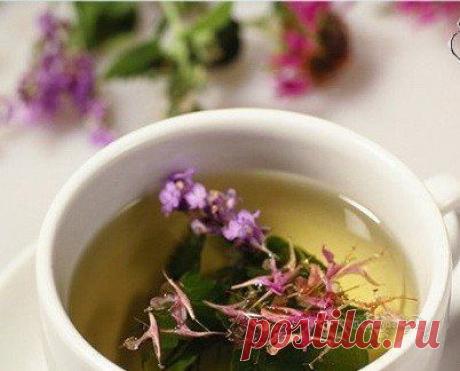 ЕСЛИ НЕРВЫ СОВСЕМ РАСШАТАЛИСЬ