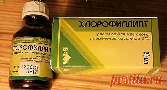 Косточка больше не болит! Потратила мелкие деньги на 2 средства, эффект невероятен!

Делюсь рецептом от операционной медсестры!

Помню, как однажды на уроке биологии почувствовала себя по-настоящему ужасно. Мы изучали что-то связанное с генетикой, и учительница рассказывала нам о том, какие генетические заболевания передаются по наследству.

В качестве яркого примера она привела косточку на ноге. Увеличенная косточка, некрасивая и болезненная, как подробно расписывала преп...