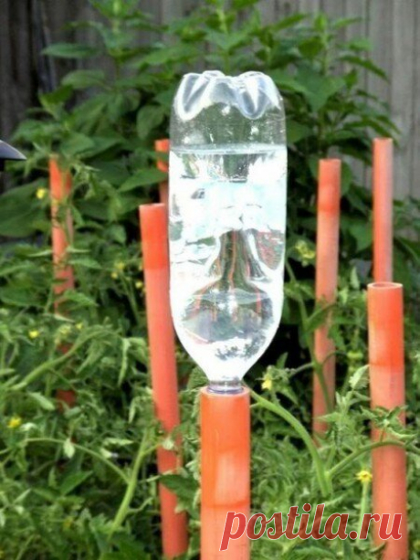 Дача - зона креатива. 20 фото с хитроумными изобретениями садоводов | Дачная фанатка | Дзен