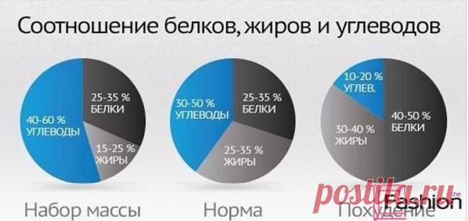 школа стройности по овсянникову подсчет белков: 8 тыс изображений найдено в Яндекс.Картинках
