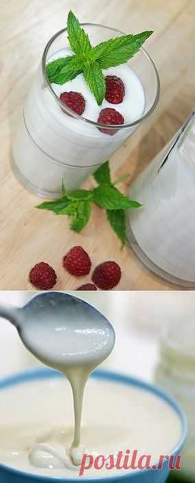 Кефир домашний . Молоко придумал химик , который выше нас . | БУДЕТ ВКУСНО!