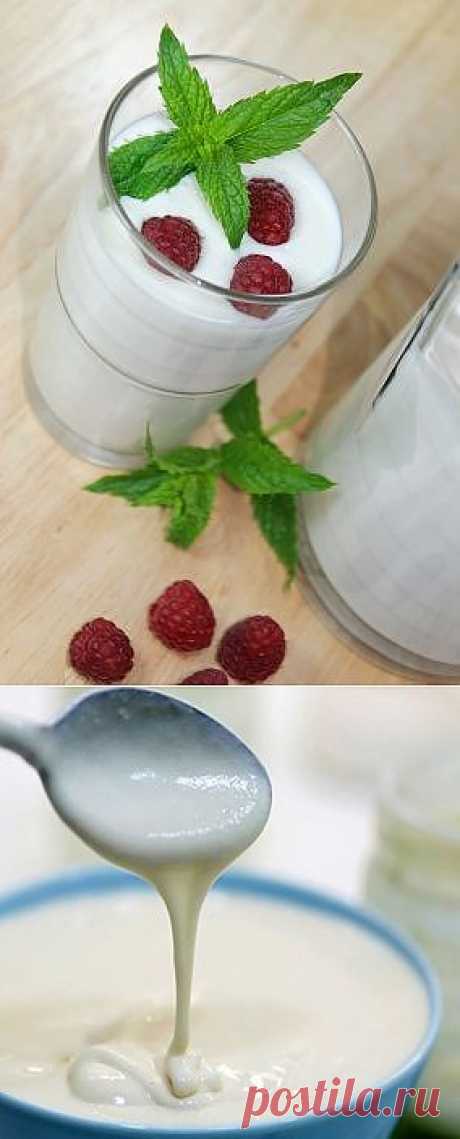 Кефир домашний . Молоко придумал химик , который выше нас . | БУДЕТ ВКУСНО!