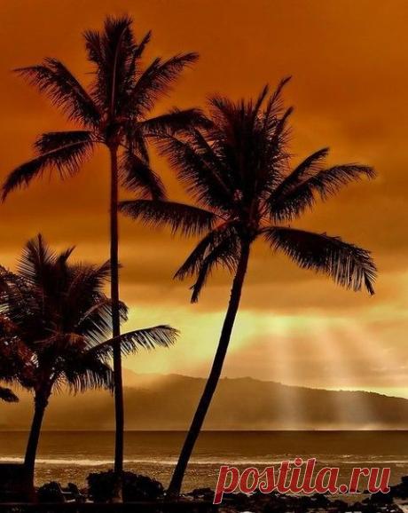 h-22305.jpg (481×604)