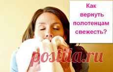 Письмо «❀ Розы на даче. Фавориты у мужчин. Свежие полотенца. Вязание для полных. Изыск из баклажанов. Ретро-бег» — Постила — Яндекс.Почта