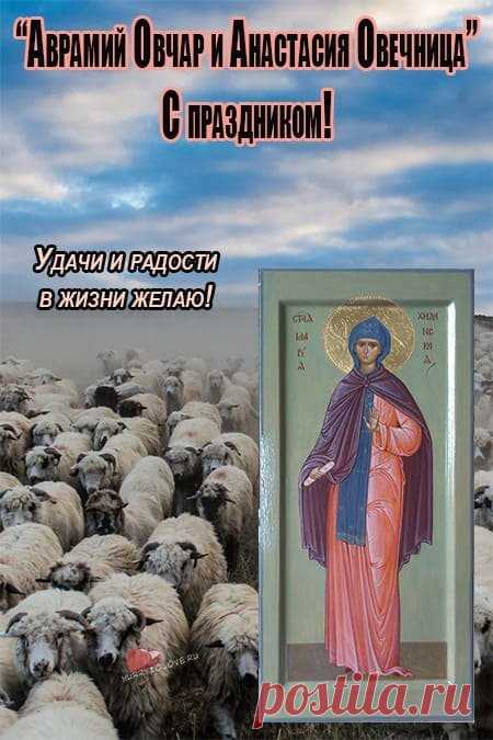 Пастухов в этот день угощали гостинцами, желали им крепкого здоровья и долгой жизни. Открытки на День памяти Аврамия Овчар и Анастасии Овечницы!