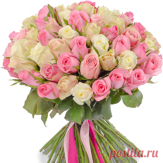 101-roza-mix.jpg (1000×999)