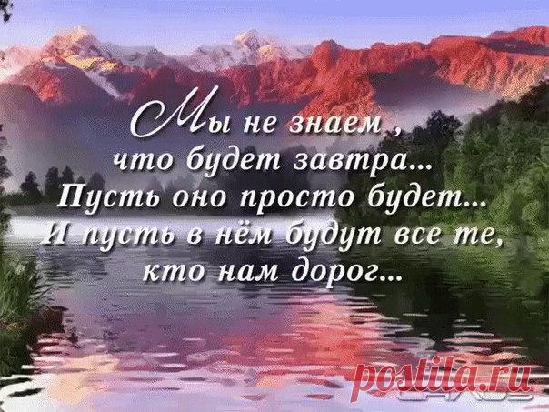 Ромашки - это Единственные Цветы, которые борются за Любовь, до последнего лепестка...