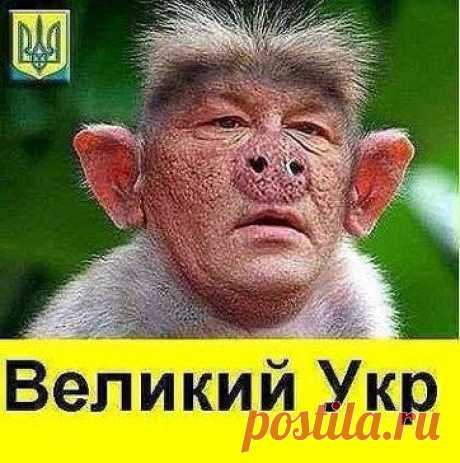 МИРОВОЕ ПОЛИТИЧЕСКОЕ ШОУ™ – Алексей Макаев добавил фотографию в альбом ВИЗИТЕРЫ.