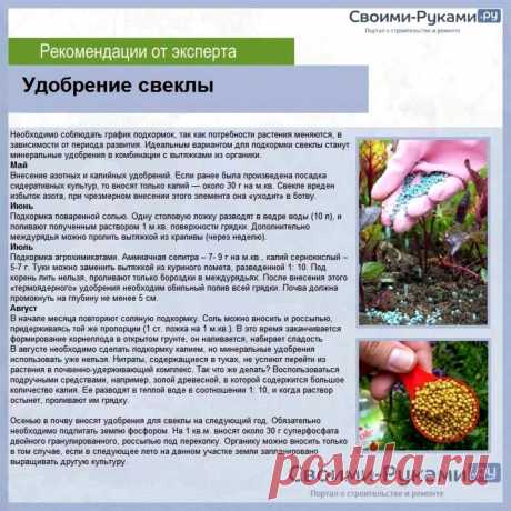 Удобрение свеклы