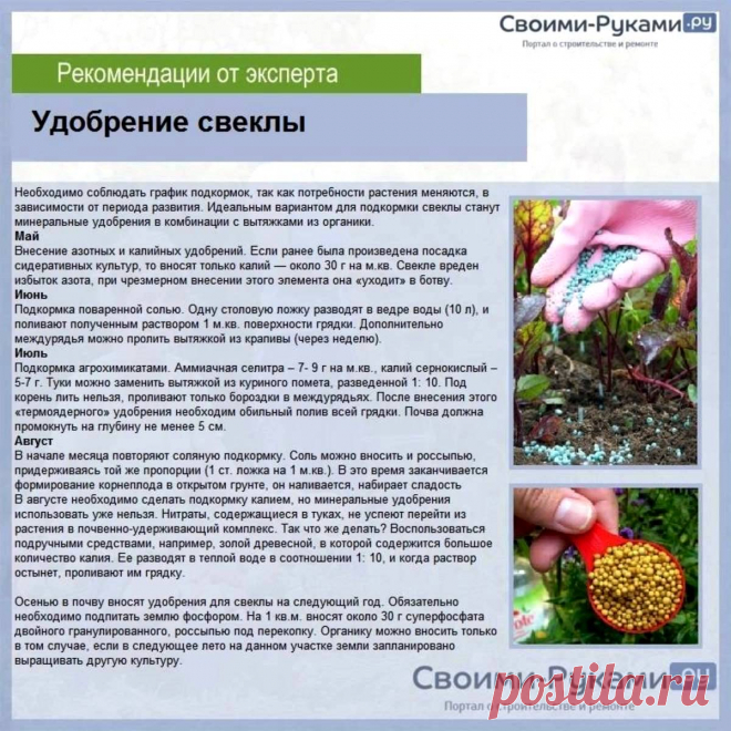 Удобрение свеклы