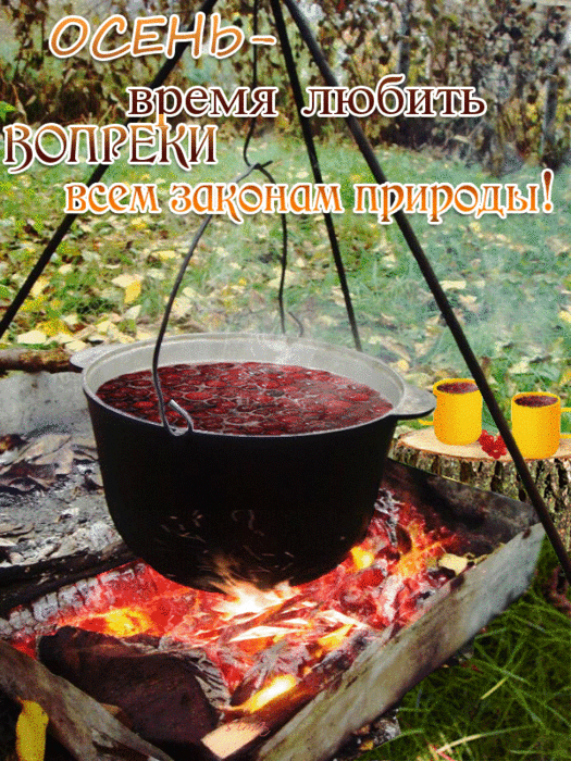 Дневник эжейни