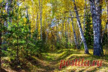 480 карточек в коллекции «Фото недели с 28 сентября по 4 октября» пользователя ЯндексКоллекции в Яндекс.Коллекциях