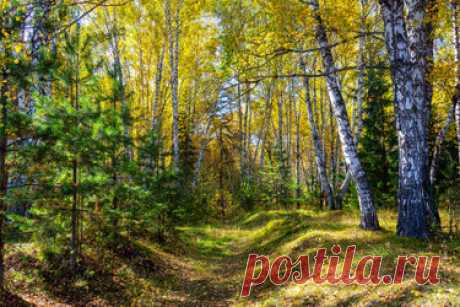 480 карточек в коллекции «Фото недели с 28 сентября по 4 октября» пользователя ЯндексКоллекции в Яндекс.Коллекциях