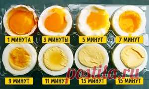 Гид по кухне и готовке