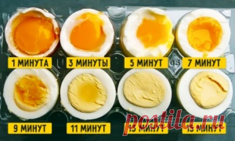 Гид по кухне и готовке