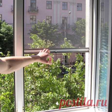 🏡 Москитные сетки от производителя под ключ по вашим размерам
💎 Качественные материалы 😲 Большой опыт работ 💖 Приятные цены
🌍 Санкт-Петербург, улица 2-ой Луч, дом 8, офис 3 📞 +7(812)467-47-55