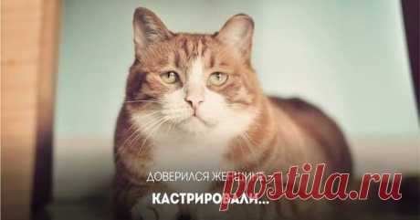Новости