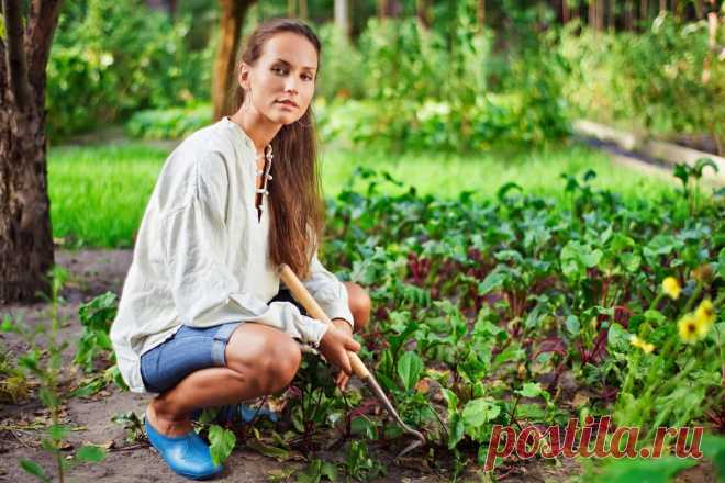 Как убрать горечь из огурцов | Делимся советами