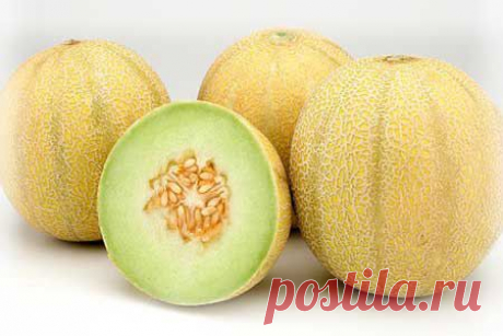 Маринованная дыня. | Домашние заготовки
