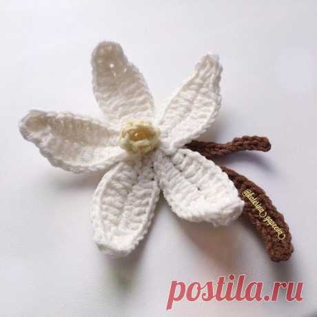 Цветок Ванили 

Крючок Nо. 1,9
Пряжа Yarn Art Jeans
Диаметр - 10 см.
.
Лепесток (5-6 шт)

11в.п. + 1 п.п., со второй петли от крючка
2 сбн, 2 псн, 2 ссн, пр из ссн, 2 ссн, 1 псн,
в последнюю петлю вяжем сбн, ссн, уссн, ссн, сбн
Поворачиваем вязание и продолжаем по оставшимся петлям -
Псн, 2 ссн, пр из ссн, 2 ссн, 2 псн, 2 сбн, сс.
Нить обрезать, спрятать. На последнем лепестке нить не отрываем, ей сшиваем все наши детали.
.
Серединка
5 в.п. +. 1 п.п., со второй петли от кр...