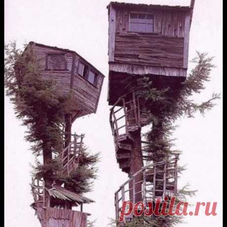 Архитектор психанул - 2