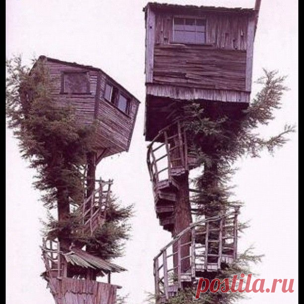 Архитектор психанул - 2