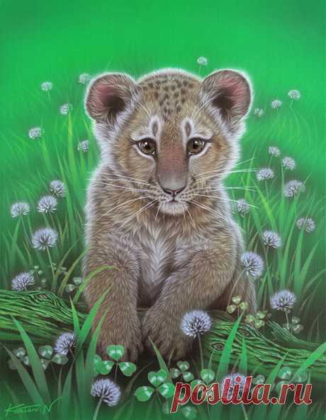 Восхитительные картины японского художника Kentaro Nishino