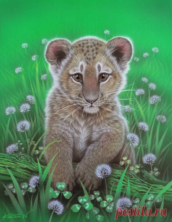 Восхитительные картины японского художника Kentaro Nishino